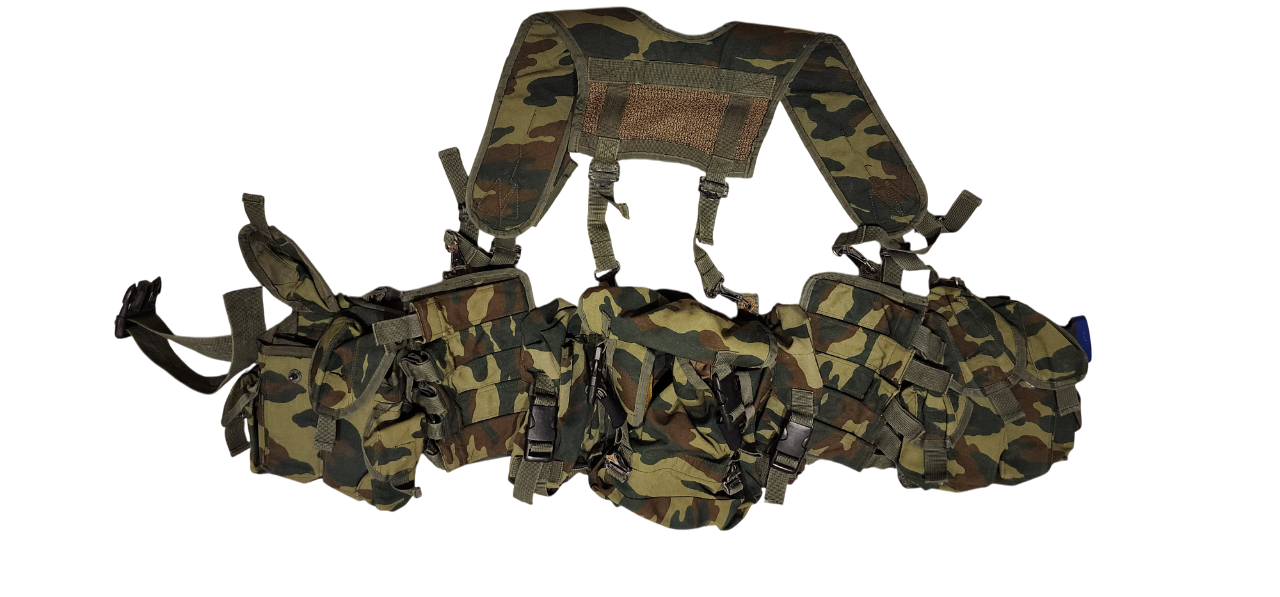6sh104 Harness AK Variant – Paladin